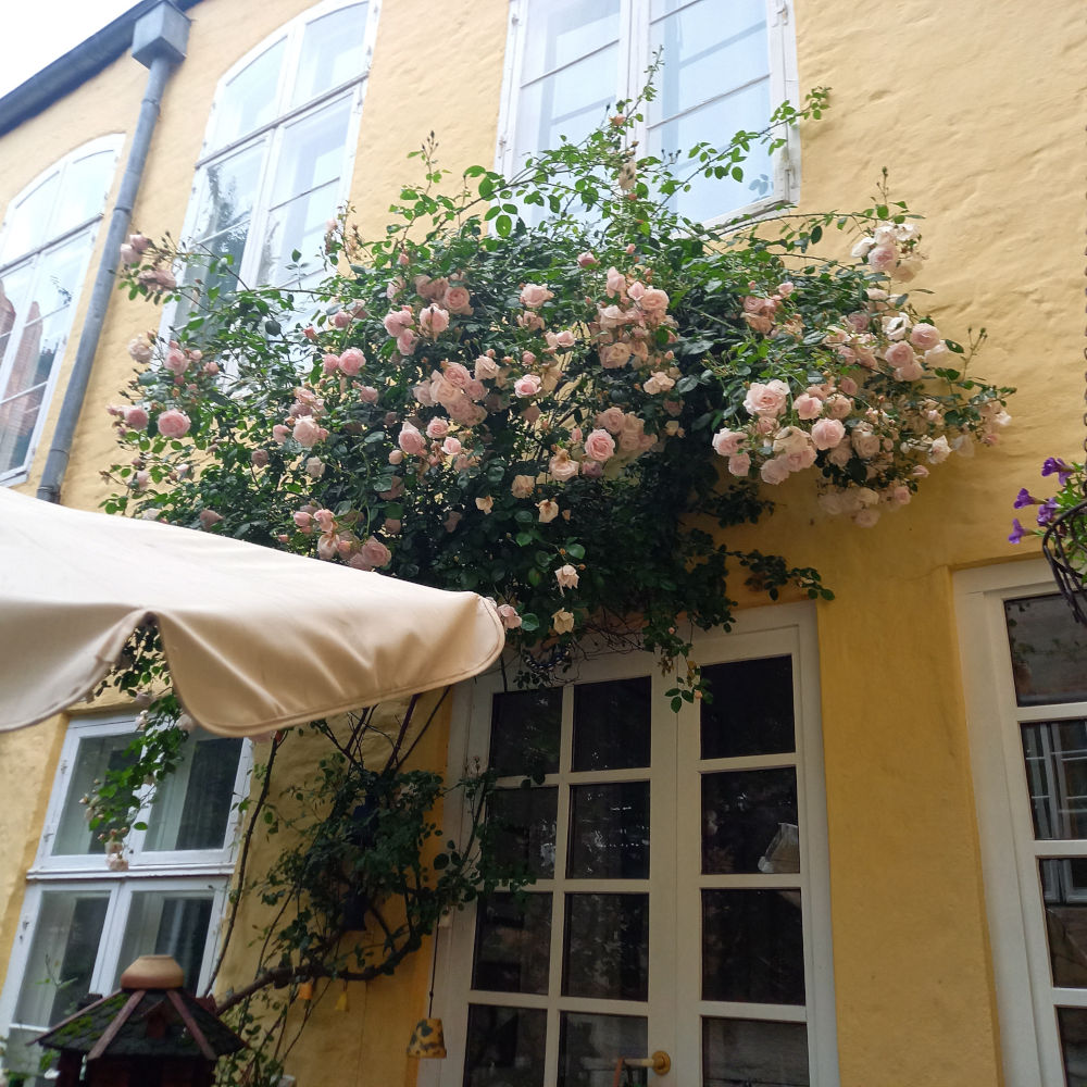 Agape Haus Lübeck